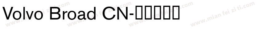Volvo Broad CN字体转换